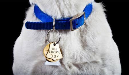 Animal license outlet tag